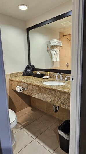 Haartrockner, Handtücher, Seife, Shampoo