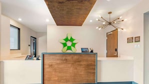 Un área de recepción con un mostrador de madera, una decoración abstracta en la pared verde y una lámpara de araña moderna.