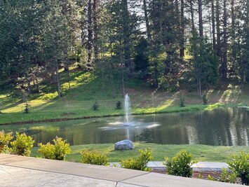 Pond controlled from inside of home.  Pond lights up at night.
