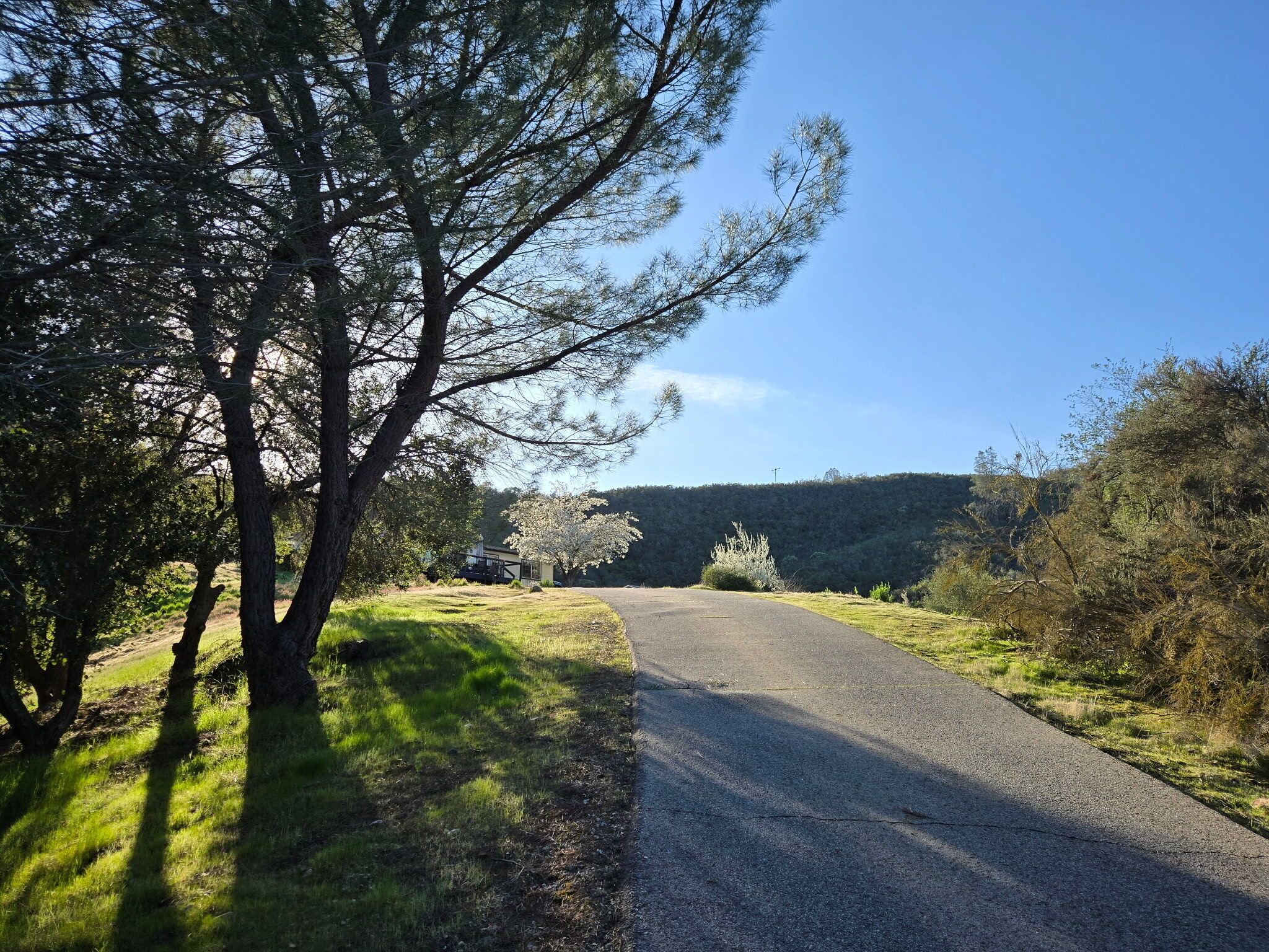 Uma estrada rural ladeada por árvores e campos abertos, conduzindo a uma colina distante.
