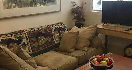 Cosy quiet apt Glebe-artistic bijou central city