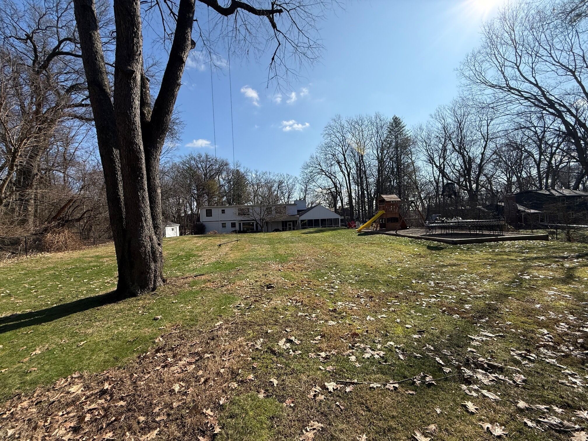 Ein Park mit einem Spielplatz, einem großen Baum und einem Haus im Hintergrund.