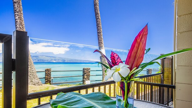 Property grounds - Bright, Spacious Studio with Stunning Ocean Views (Lahaina)