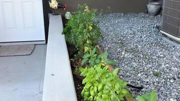 DĂ©tail de lâextĂ©rieur