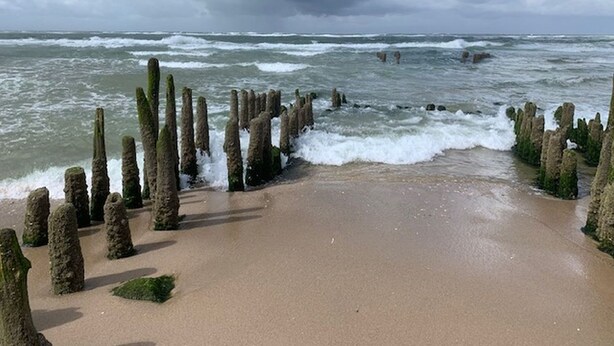 Uma praia com altos postes de madeira desgastados e ondas quebrando na costa.