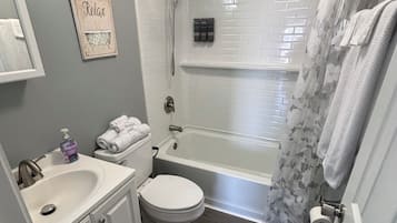 Shower-Tub, Removable Shower Head, Shampoo, Conditioner, Body Wash & Hair Dryer