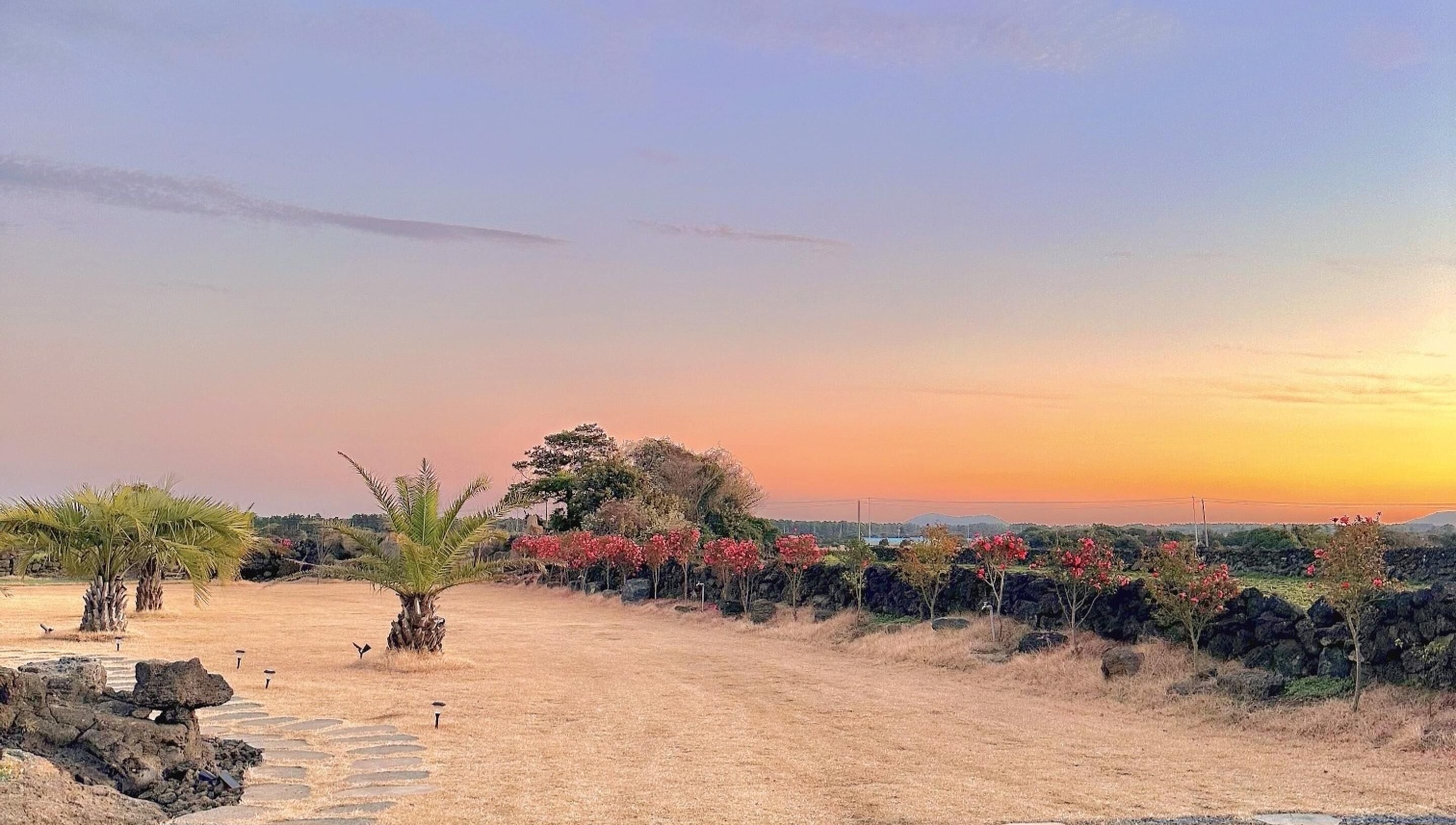 A dirt path leading to a stone structure with a palm tree and flowering plants.