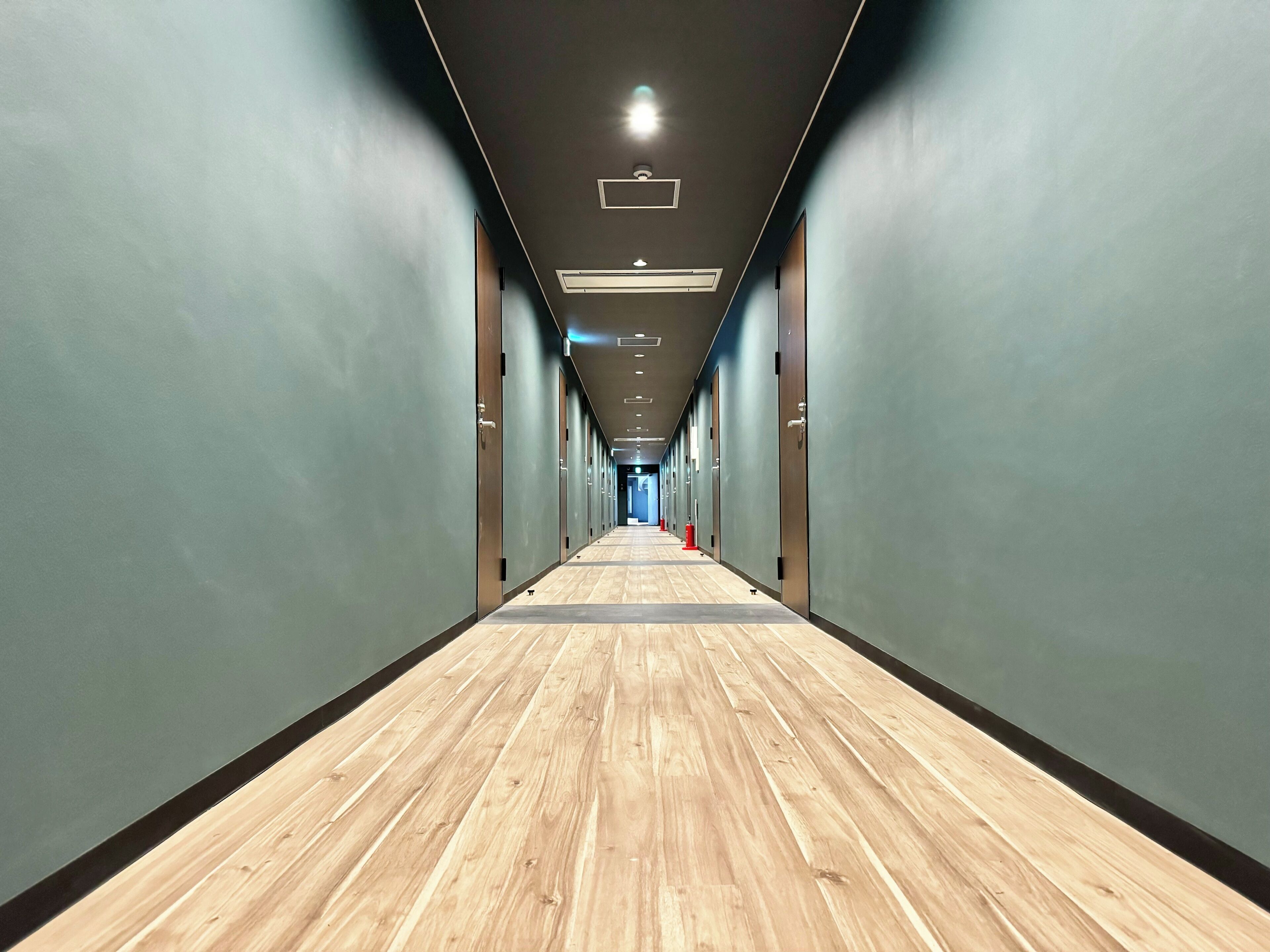 A long, narrow hallway with wooden flooring and grey walls.