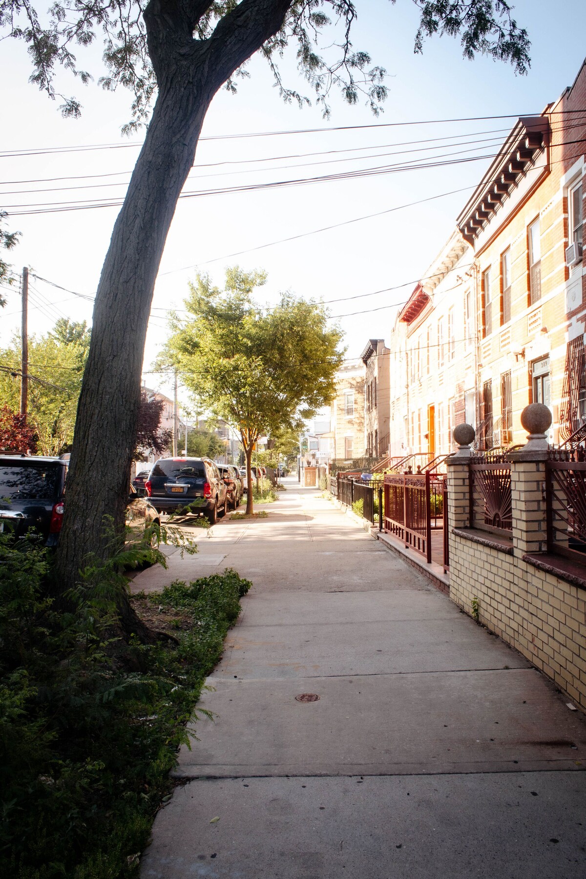 Immagine del profilo dell’host