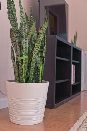 Details aan de binnenkant