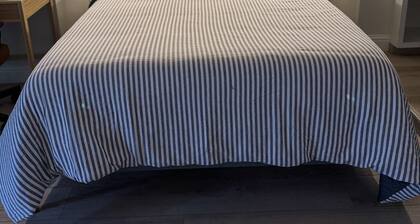 Charming Midtown Studio at Ice Blocks