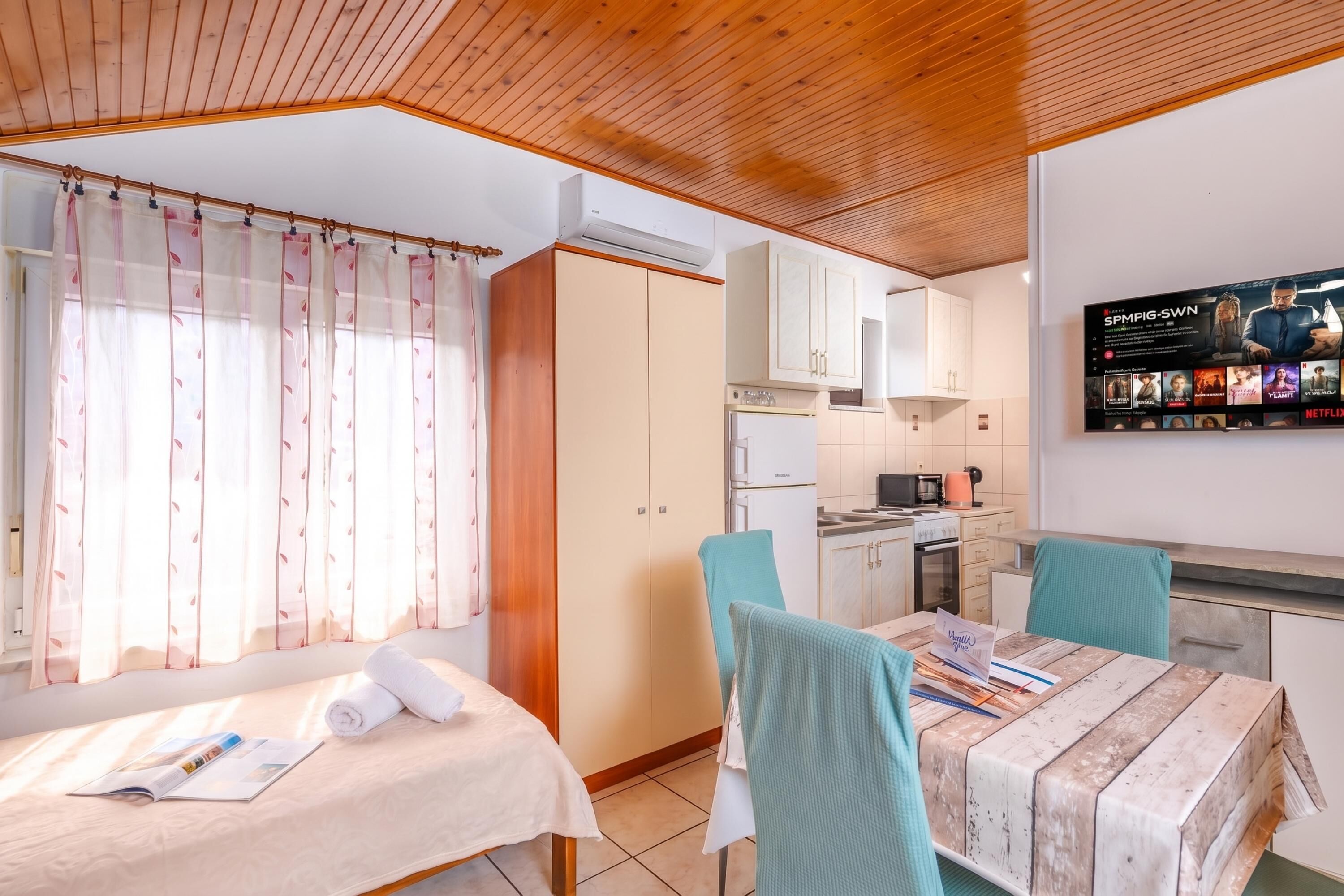 Standard Studio, Microwave, Mountain View (Studio Apartment Iva Rijeka Suburbs) | Private kitchen
