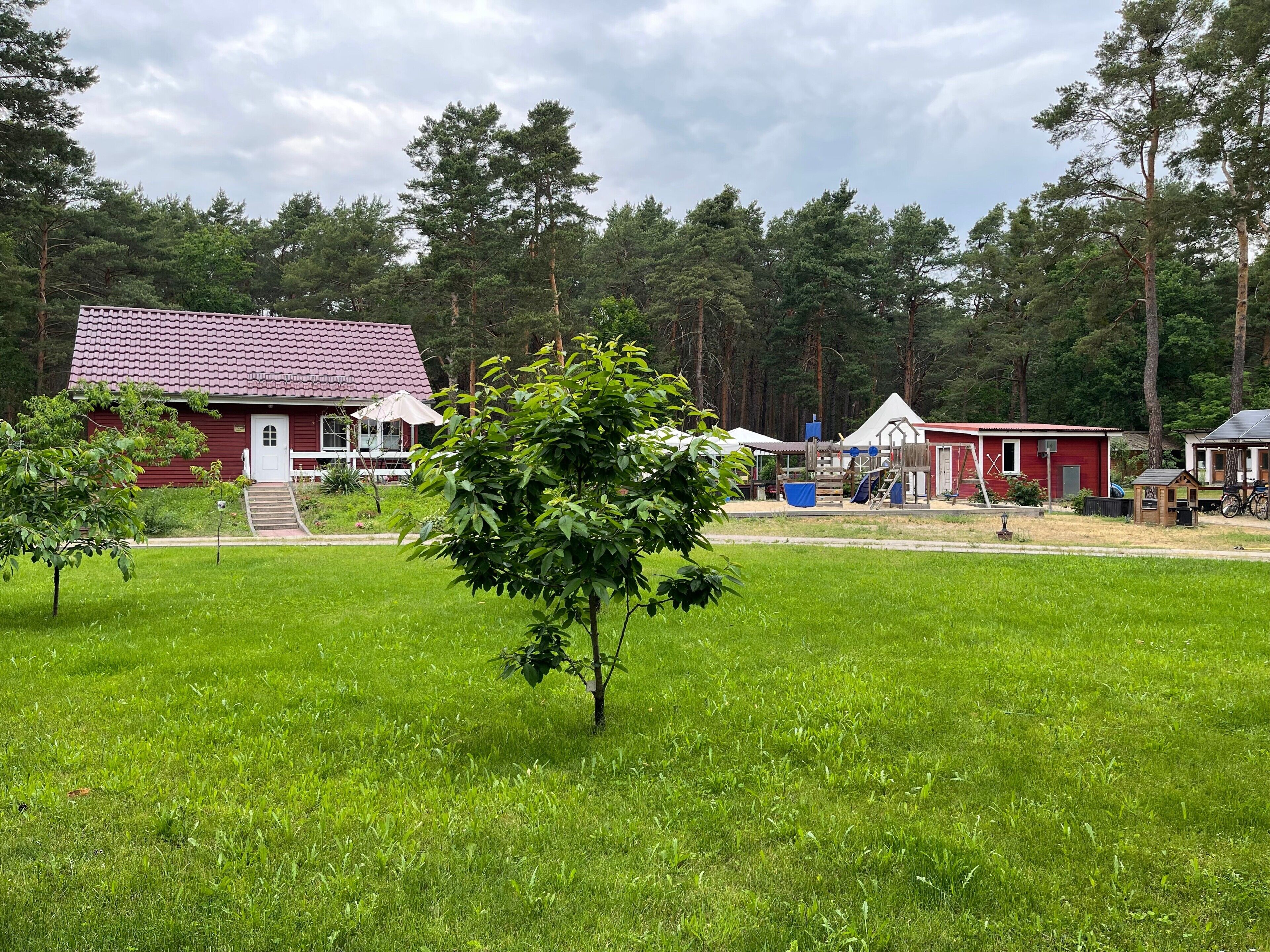 A red building with a tiled roof, a small tree in the foreground, and a playground in the background.
