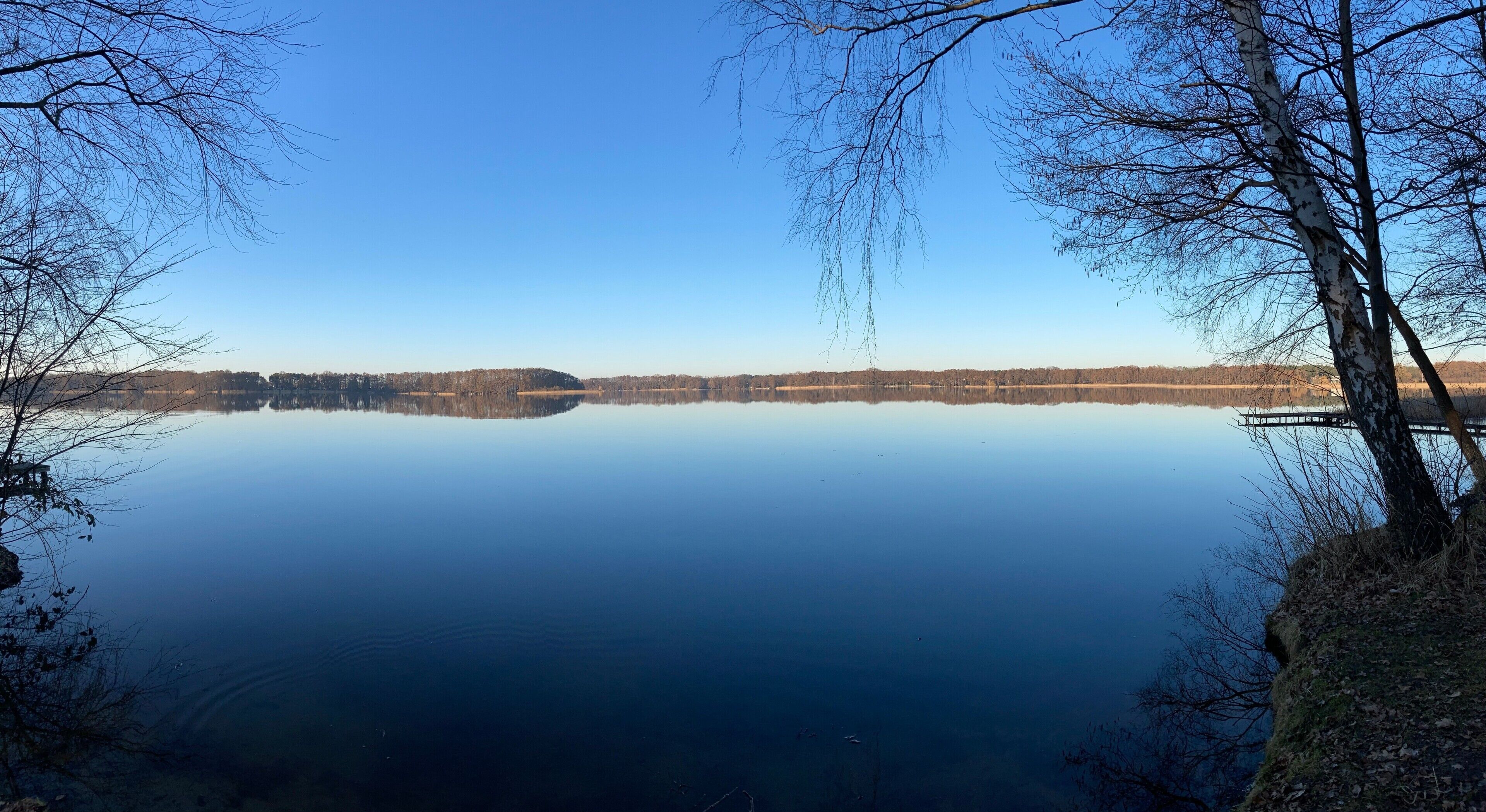 A calm lake with reflections of trees and a clear sky.