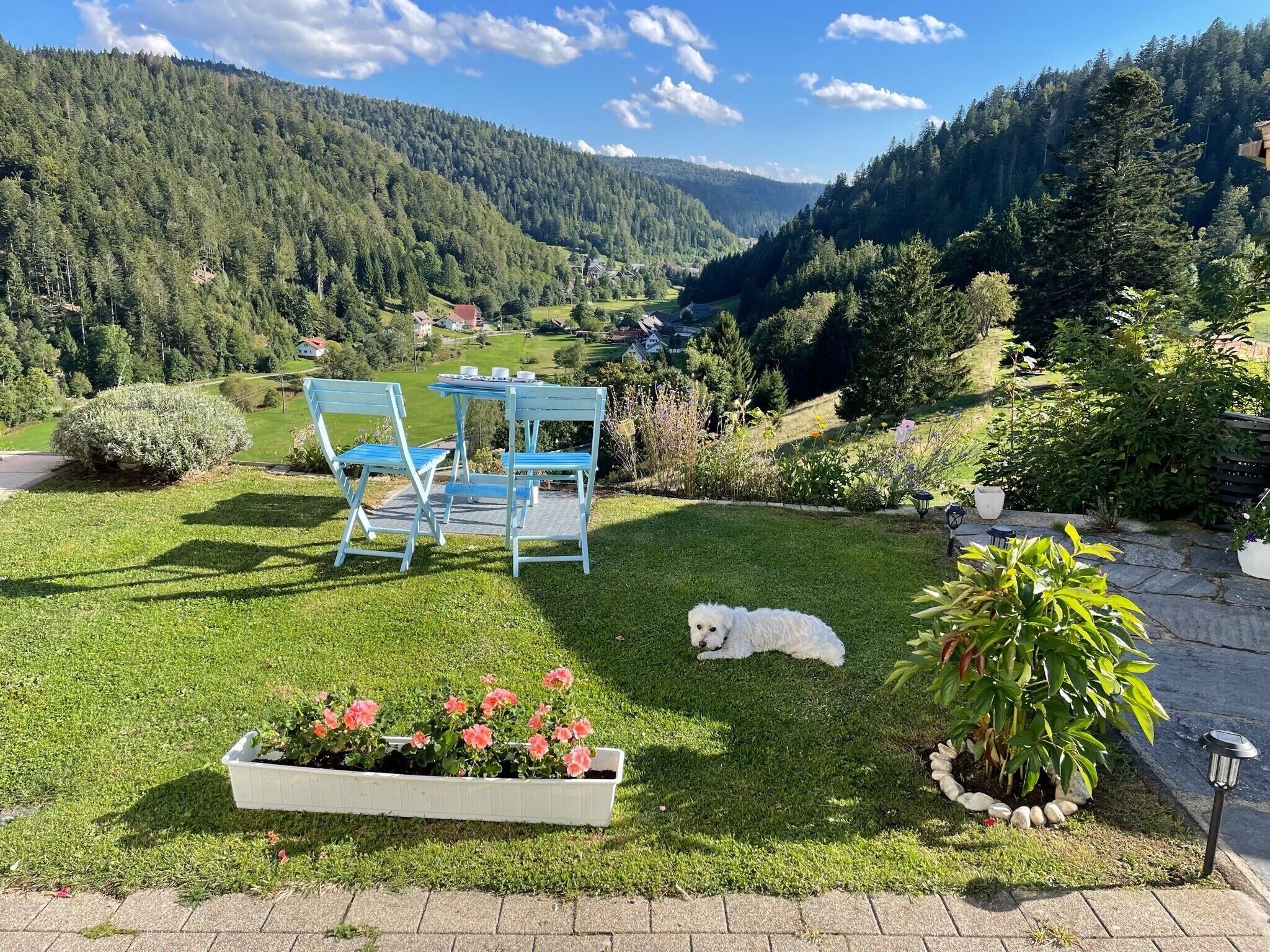 A grassy outdoor area with a table and chairs, a dog, and a flower bed.