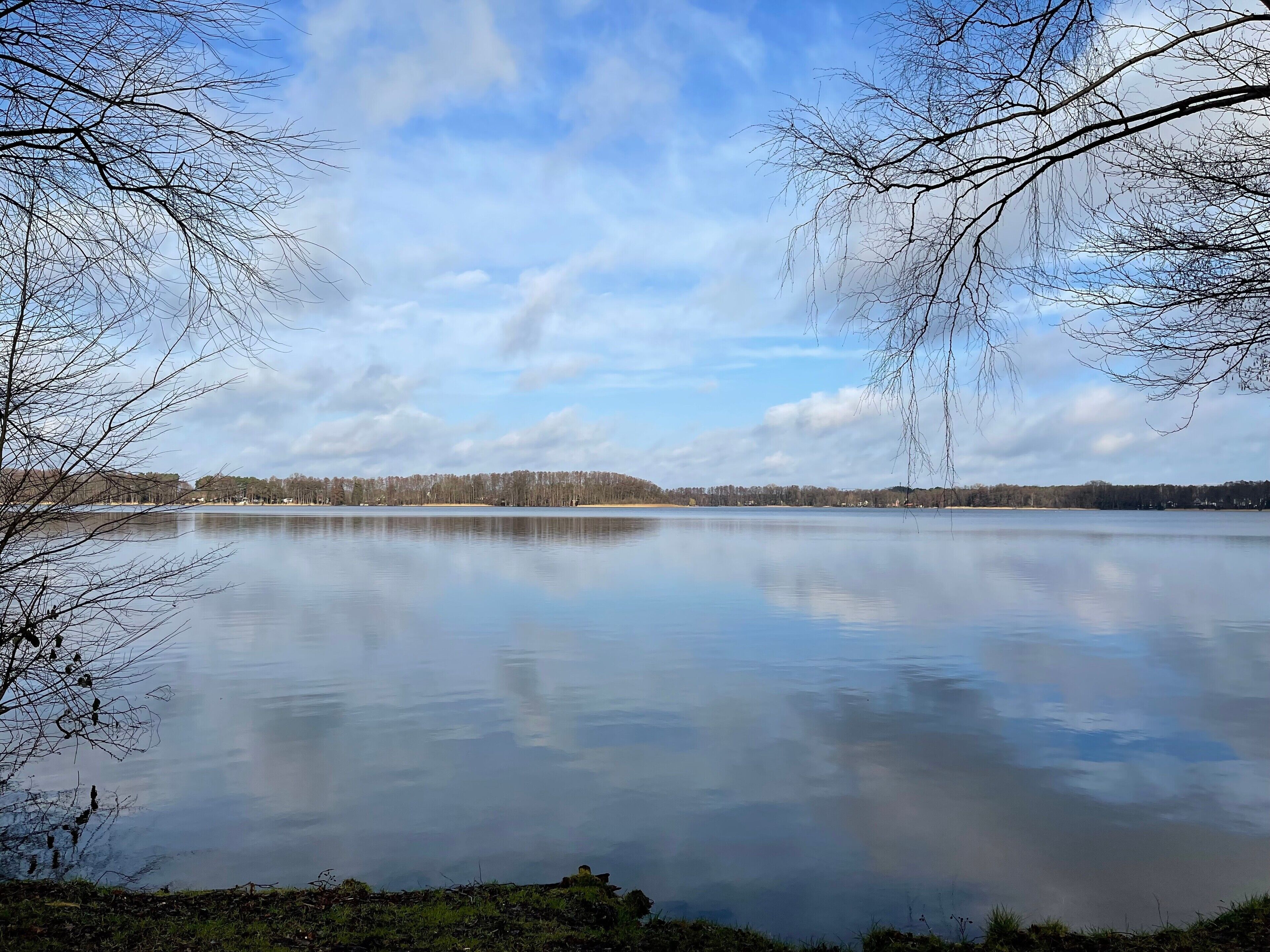 Ein ruhiger See, umrahmt von Bäumen, mit blauem Himmel und Gebäuden in der Ferne.