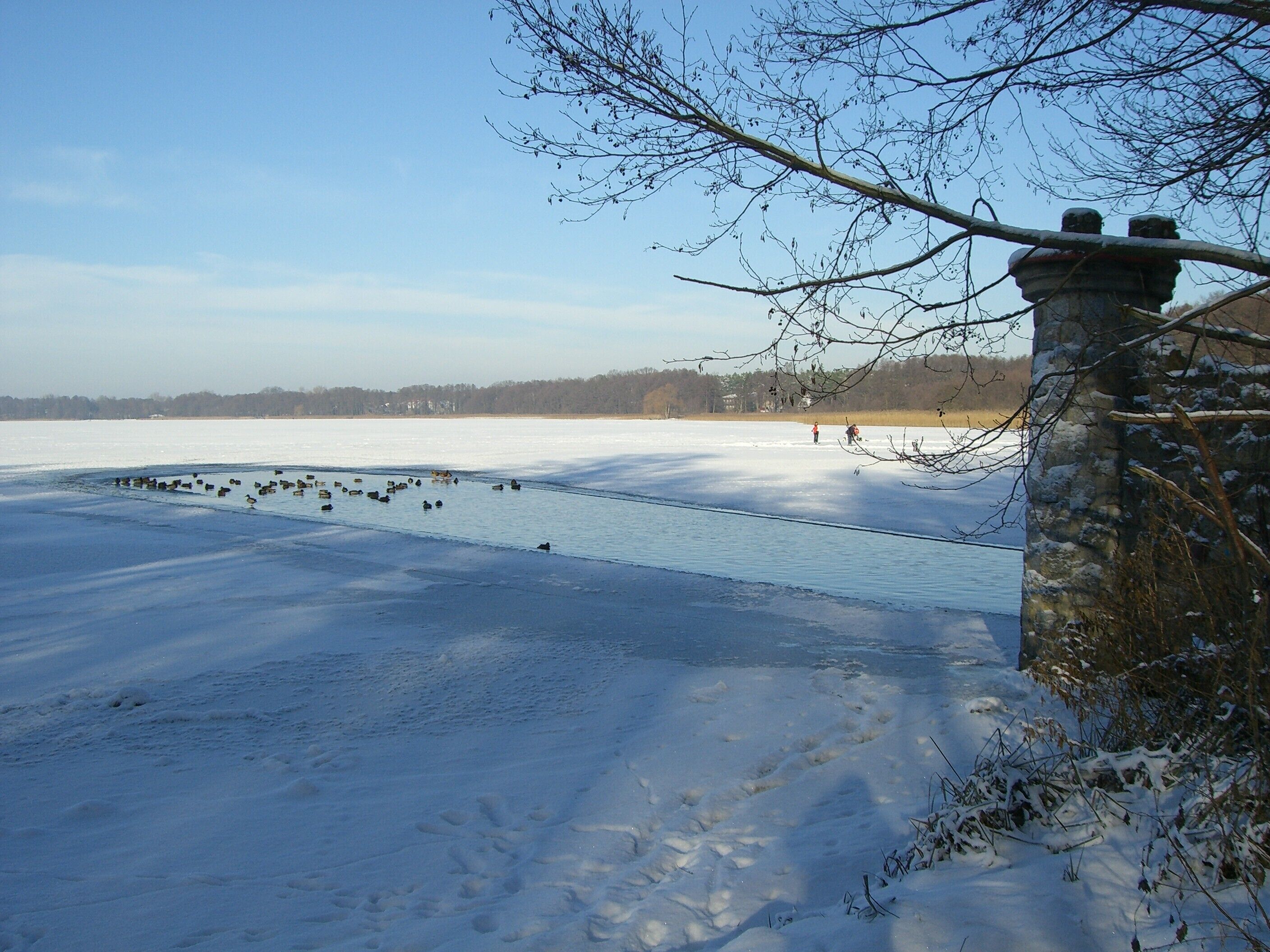 A frozen lake with a stone structure and bare trees.
