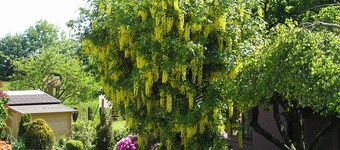 Ferienwohnung Evi Opp - Evita" mit privater Terrasse, privatem Garten und WLAN