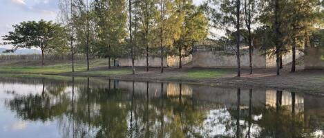 A calm lake with a wooden boat docked on the left, surrounded by tall trees and a concrete wall in the background.