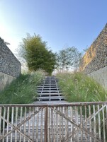 A wooden staircase leading up to a stone wall with a tree in the middle.