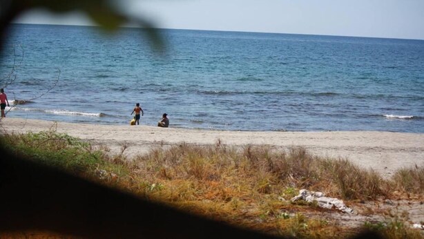 A beach with people near the water, vegetation in the foreground, and a clear view of the sea. - CVNB guesthouse (San Juan)
