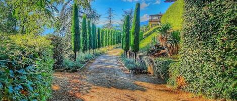 Parco della struttura