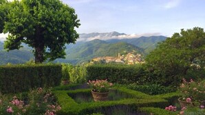 A garden with neatly trimmed hedges, a large tree, and a view of a village in the distance.
