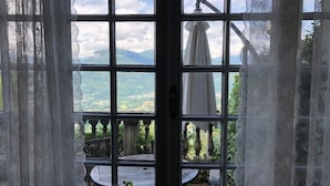 A view through a window with a view of a garden and mountains.