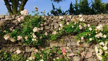 DĂ©tail de lâextĂ©rieur