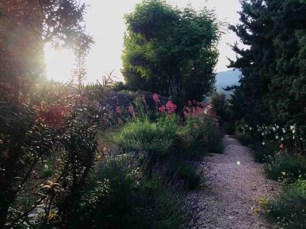 A gravel path in a garden with dense foliage and flowering plants.