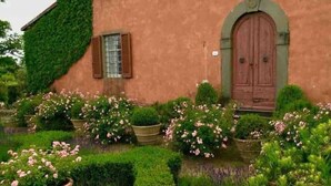 A building with a green ivy-covered wall, a wooden door, and a window with shutters. There are flower beds with pink flowers in front of the building.