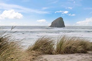 Playa en los alrededores y surf 