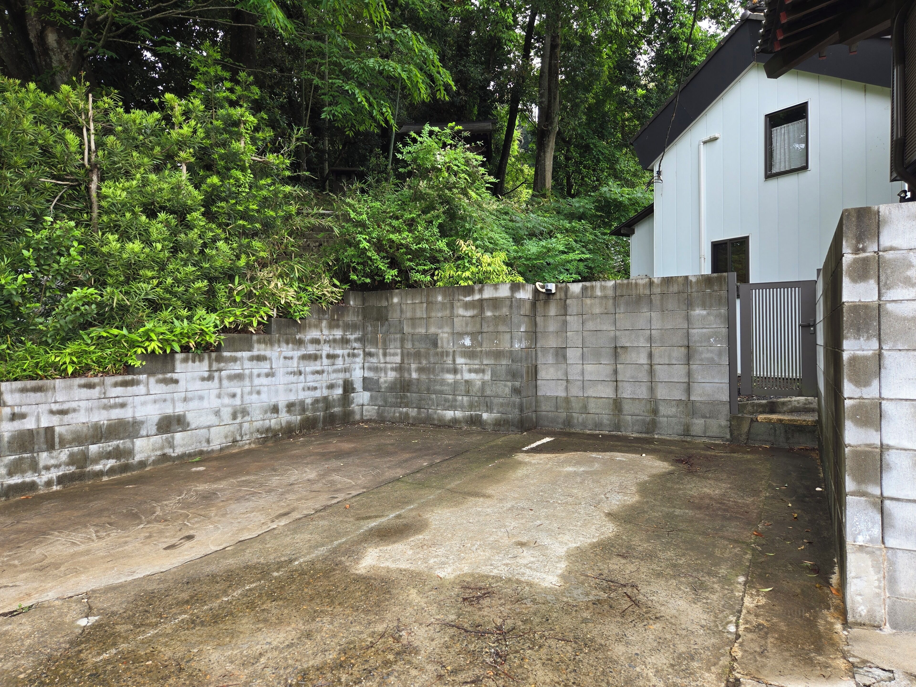 A concrete patio with a brick wall and a metal gate, surrounded by dense greenery and a white building in the background.