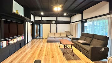 Flat-screen TV, Netflix, streaming services