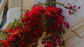 Un bâtiment aux murs extérieurs blancs et doté d’un balcon orné de fleurs rouges.