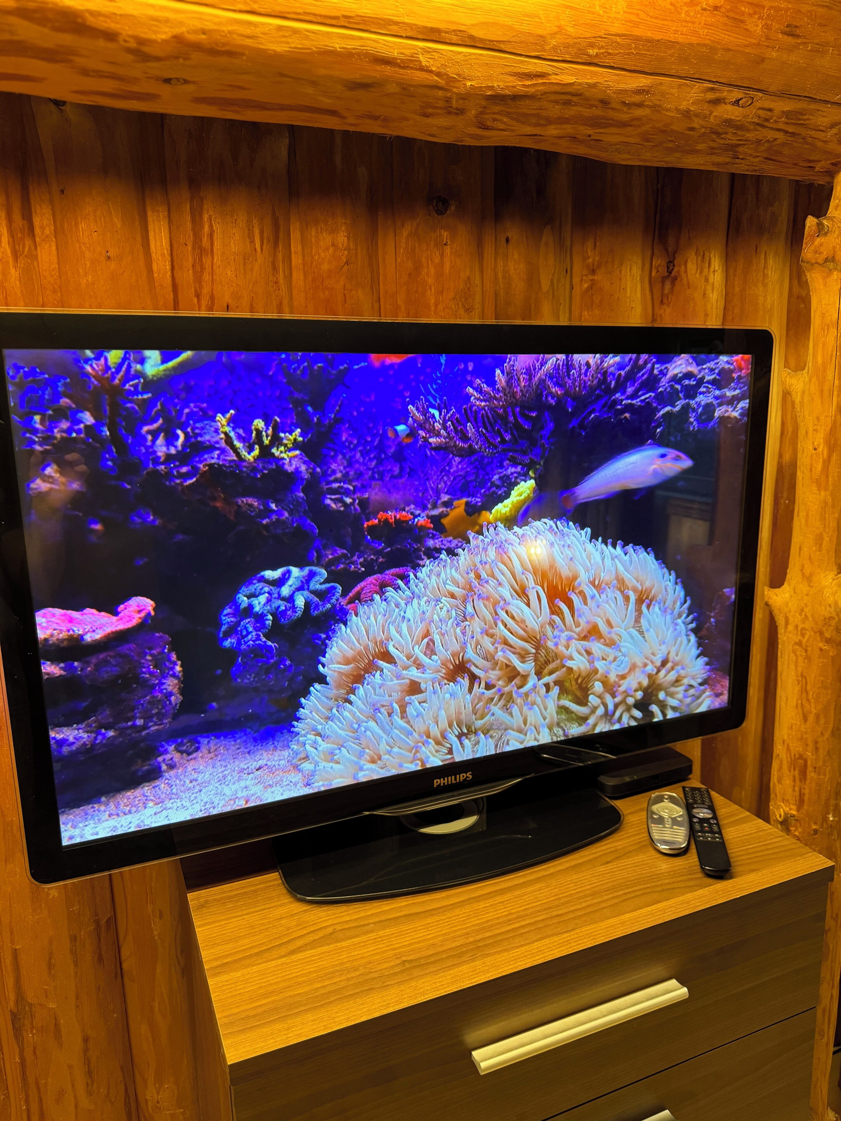 Un televisor mostrando una escena submarina, sobre un mueble de madera con un control remoto a su lado.