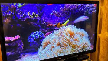 Un televisor mostrando una escena submarina, sobre un mueble de madera con un control remoto a su lado.