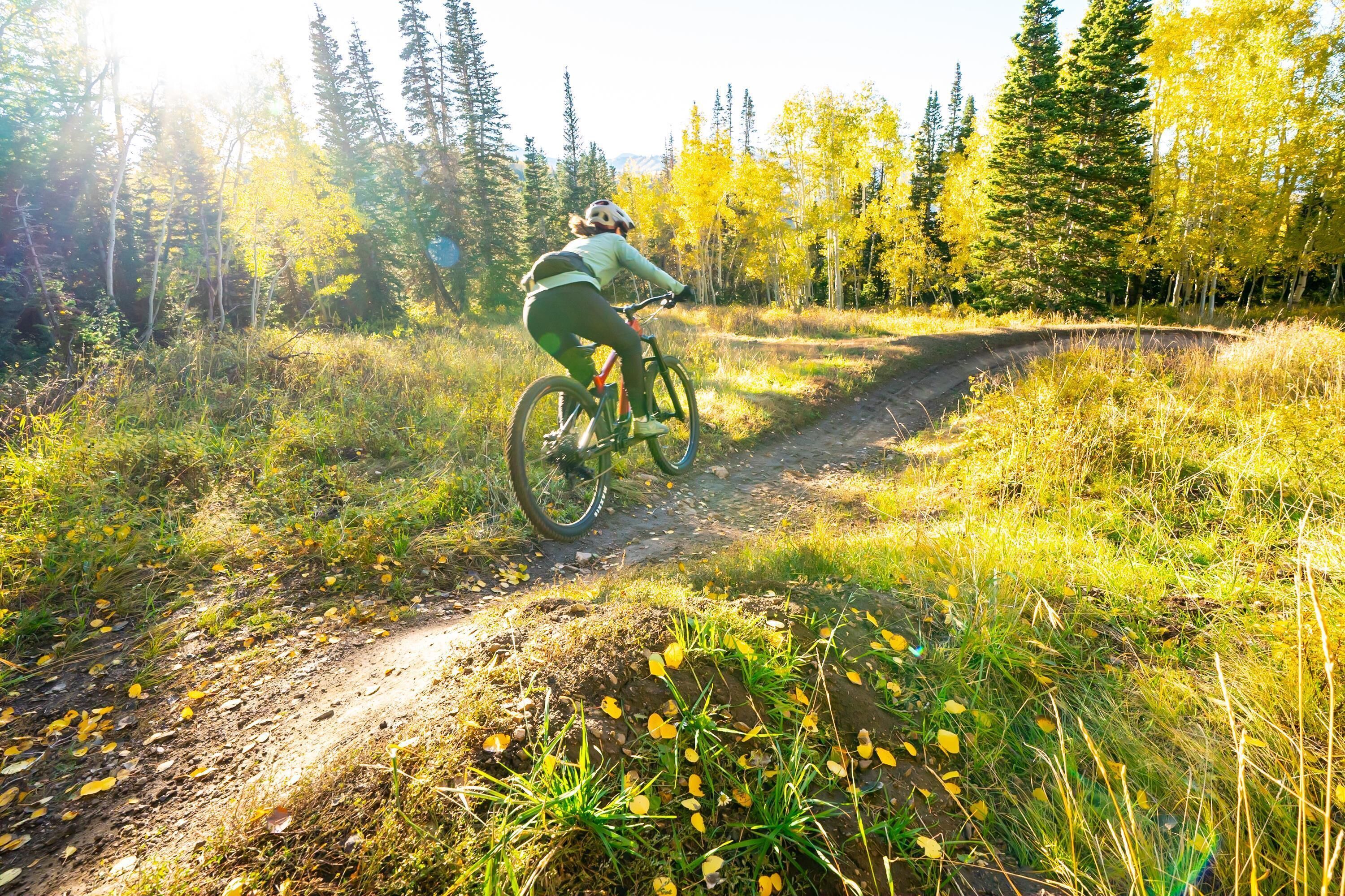 A mountain biking trail with a cyclist in a helmet and green attire.