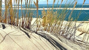 A beach with sand dunes and tall grasses. - Arcachon, La Hume and Dune du Pyla while enjoying a magnificent maison❤️ (Gujan-Mestras)