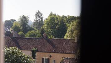 A view through a window of a building with a tiled roof, surrounded by trees and other buildings.