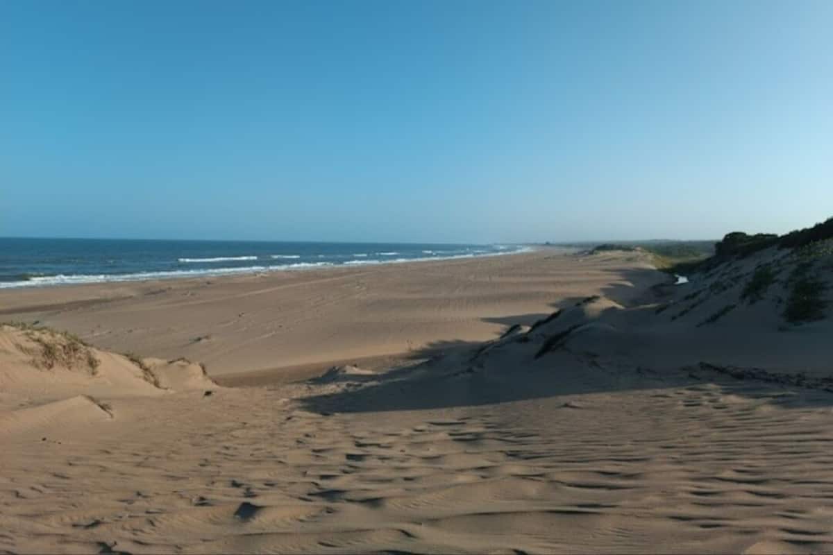 Enjoy the serene coastal landscape with a sandy beach and gentle waves.