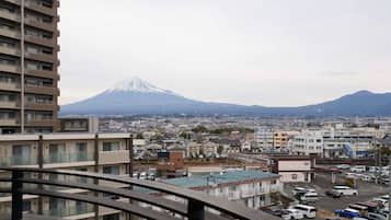 City view from property