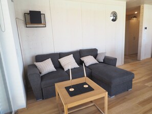 Fernseher, Computerbildschirme