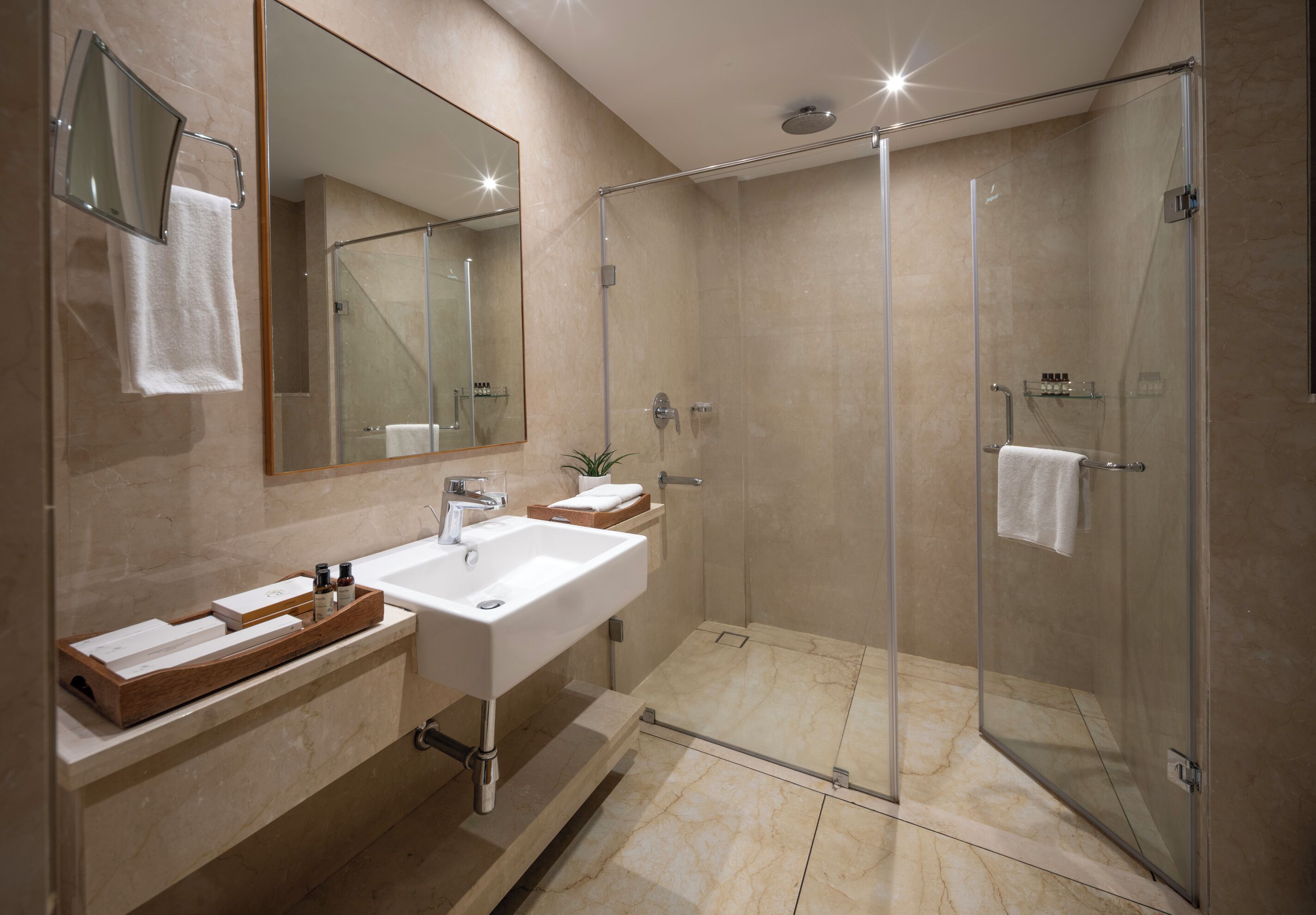 A modern bathroom with a glass shower enclosure, a sink with a wooden tray, and a mirror.