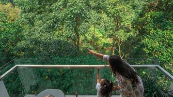 A balcony with a glass railing overlooking a lush green forest.