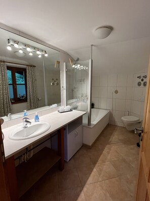 Shower, hair dryer, towels