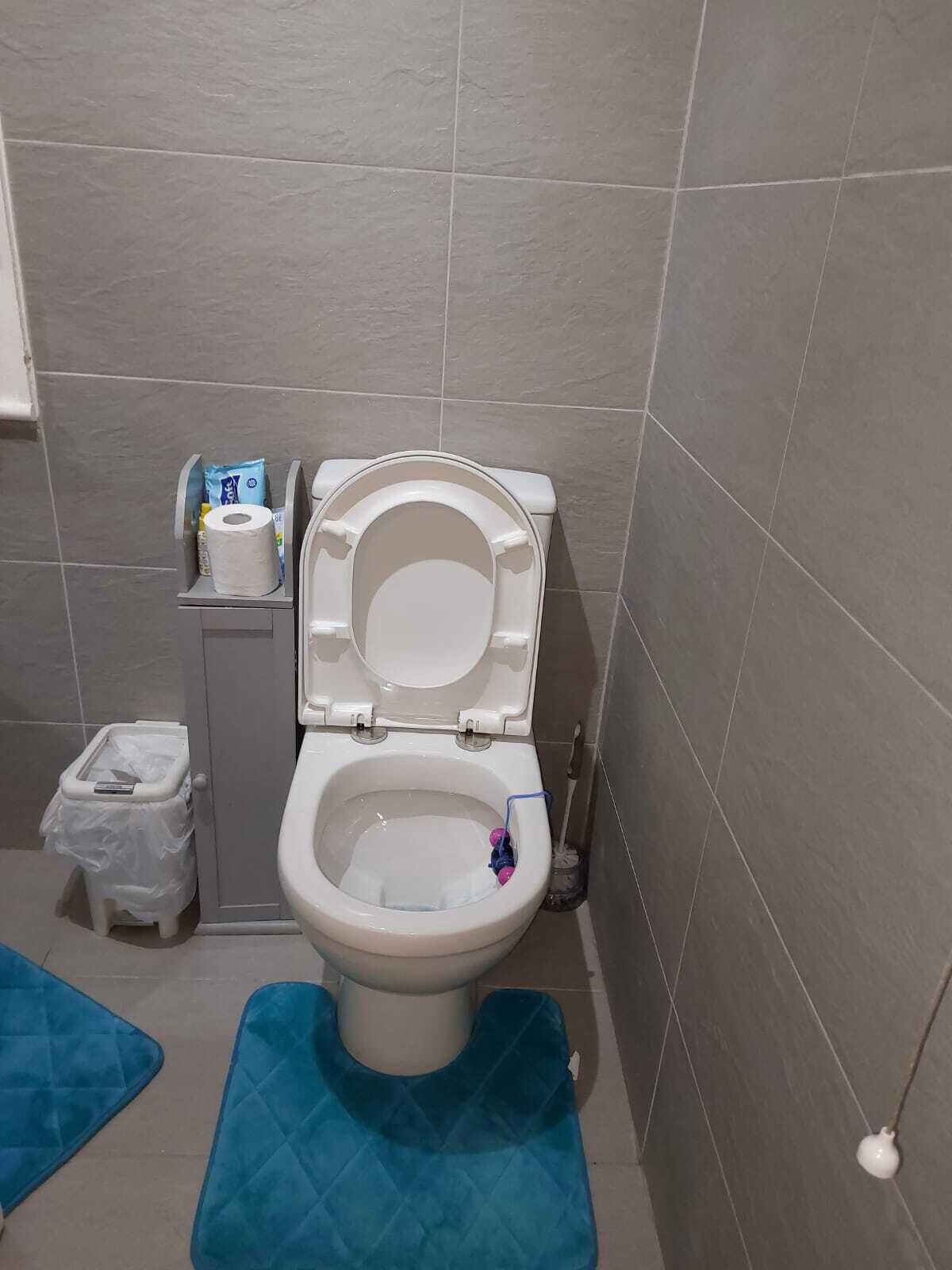 A bathroom with a toilet, a small trash bin, and a blue mat on the floor.