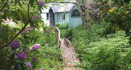 Magical Tabernacle In a Beautiful Setting Hot Tub