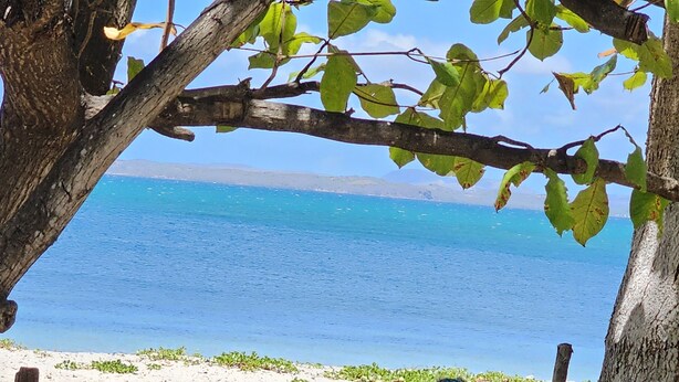 Vista de una playa con aguas azules cristalinas, una orilla arenosa y una rama de árbol en primer plano.