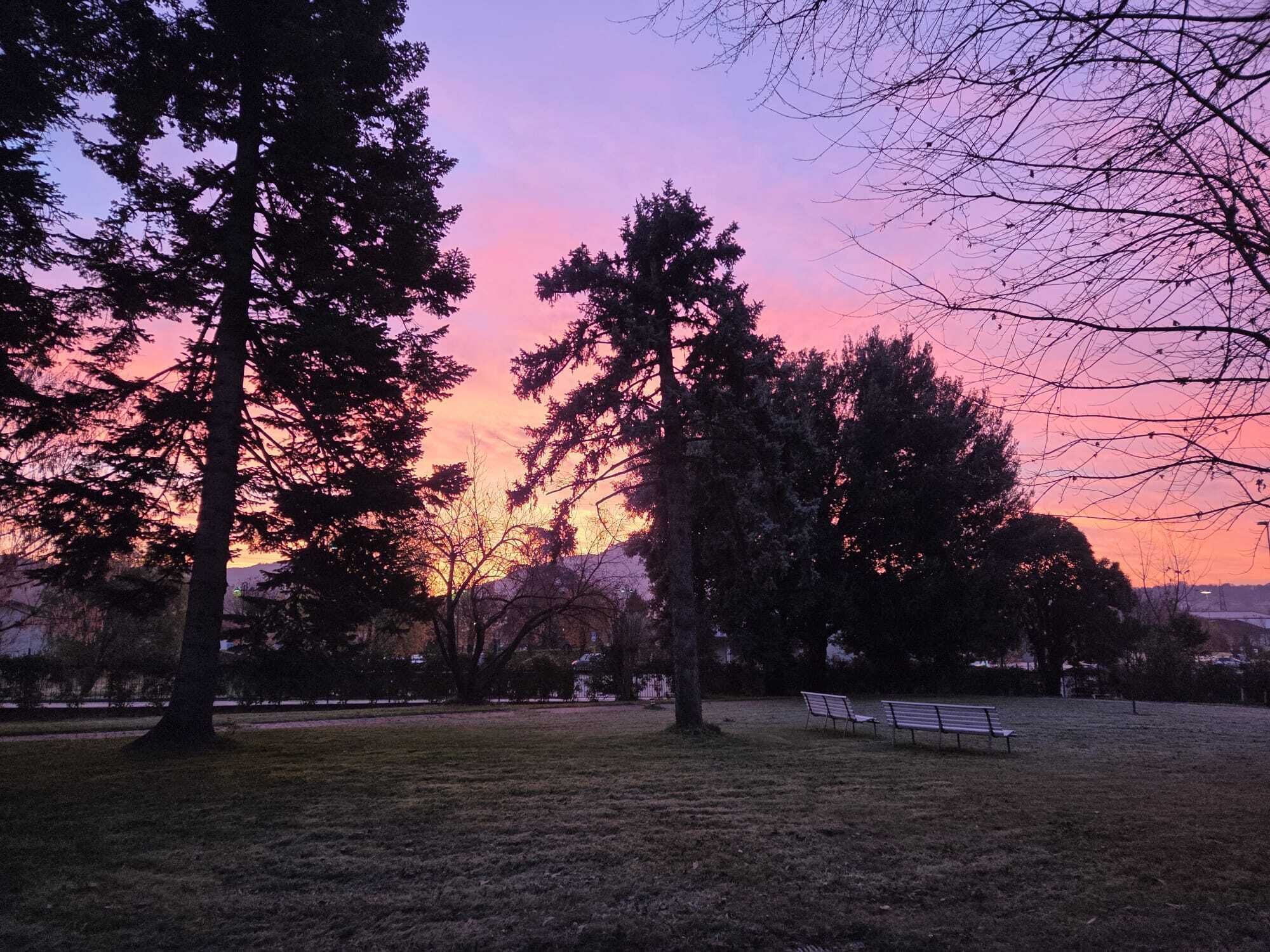 A park with benches and trees during sunset.